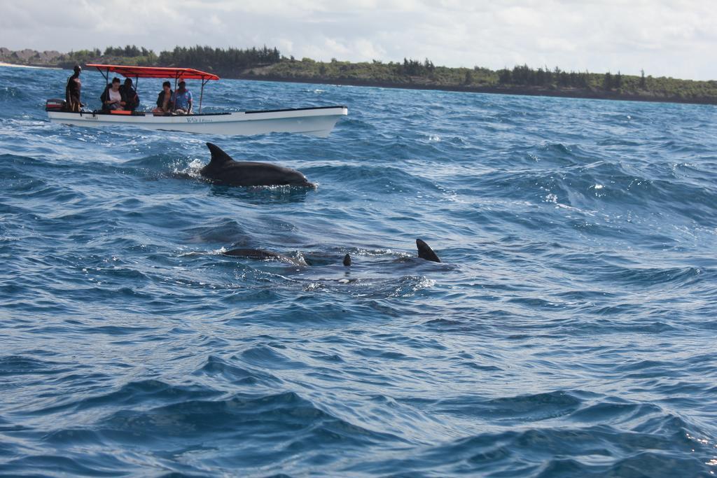 Dolphin Safari Lodge Mahonda 외부 사진